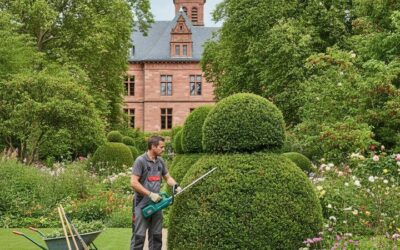 Entretien jardin à Mulhouse : le guide pratique pour un espace vert toute l’année