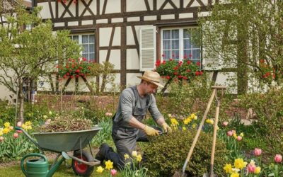 Nettoyage jardin à Colmar : les gestes essentiels au printemps